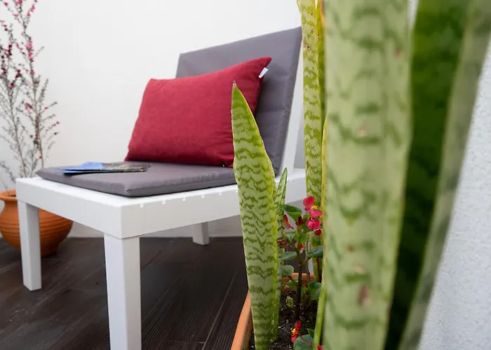 Azoreanstar アパートホテル ポンタ・デルガダ