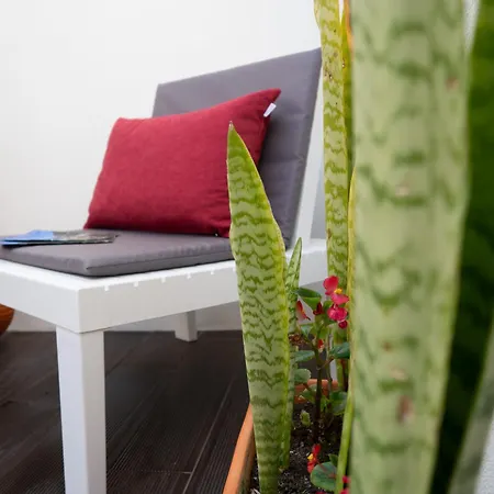 Azoreanstar Ξενοδοχείο με διαμερίσματα Πόντα Ντελγκάντα