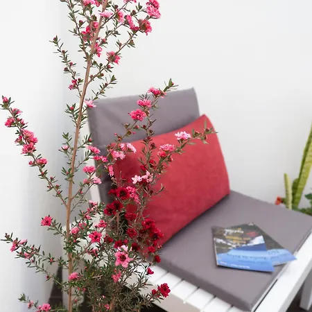 Azoreanstar * Πόντα Ντελγκάντα